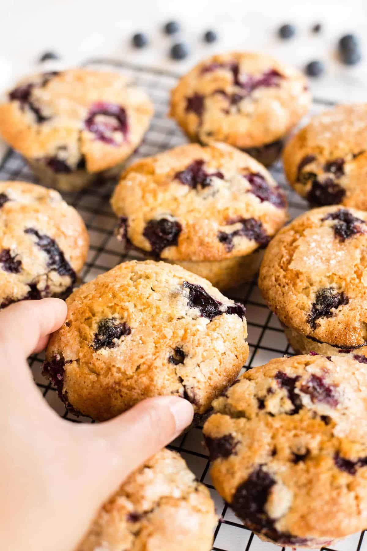 Hand reaching for gluten-free dairy-free blueberry muffins.