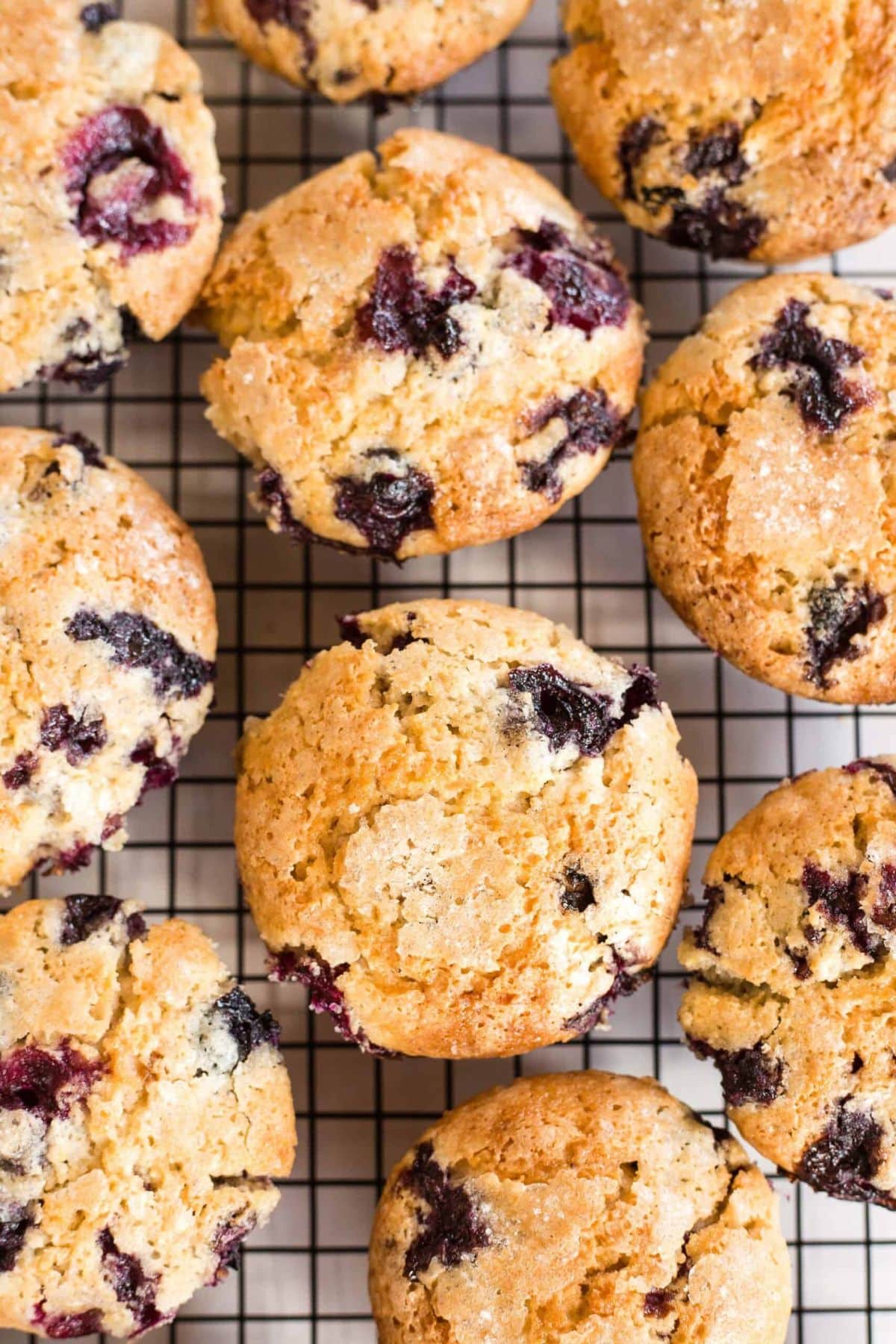 Top down view of dairy-free blueberry muffins on wire rack.