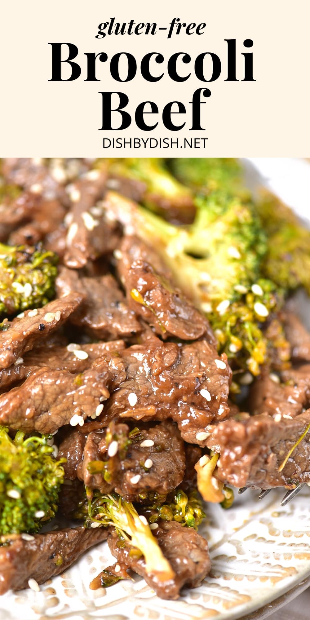 Easy GlutenFree Beef and Broccoli (DairyFree) Dish by Dish