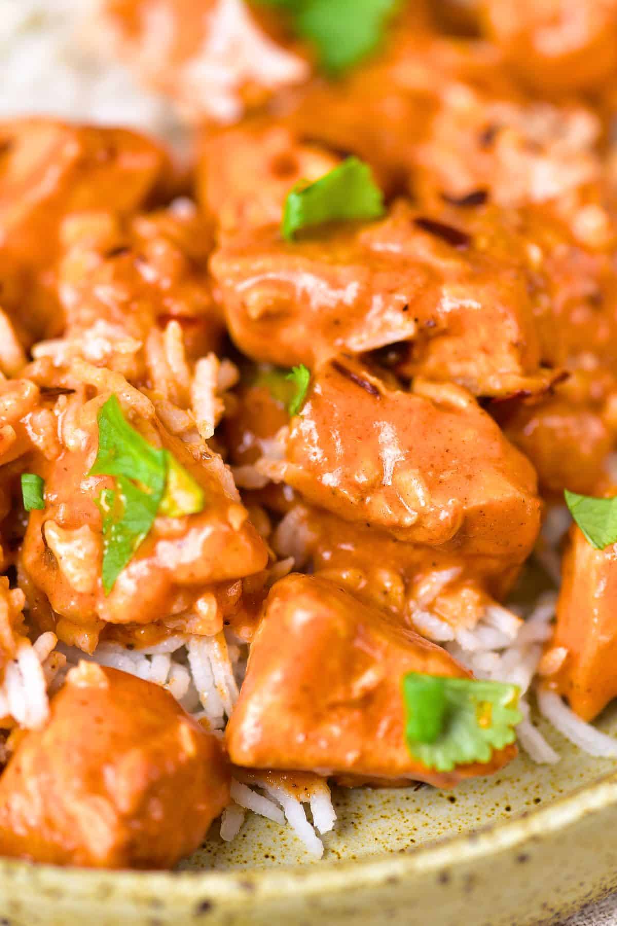 Very up close view of gluten-free dairy-free curry chicken.