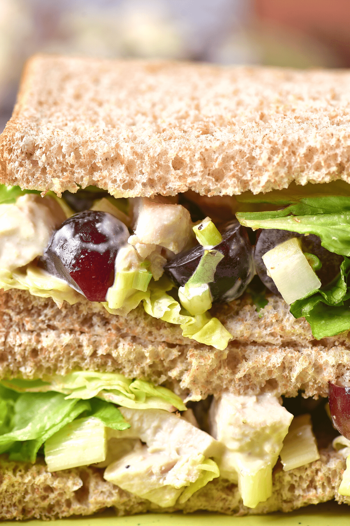 Up close view of a gluten free chicken salad sandwich.
