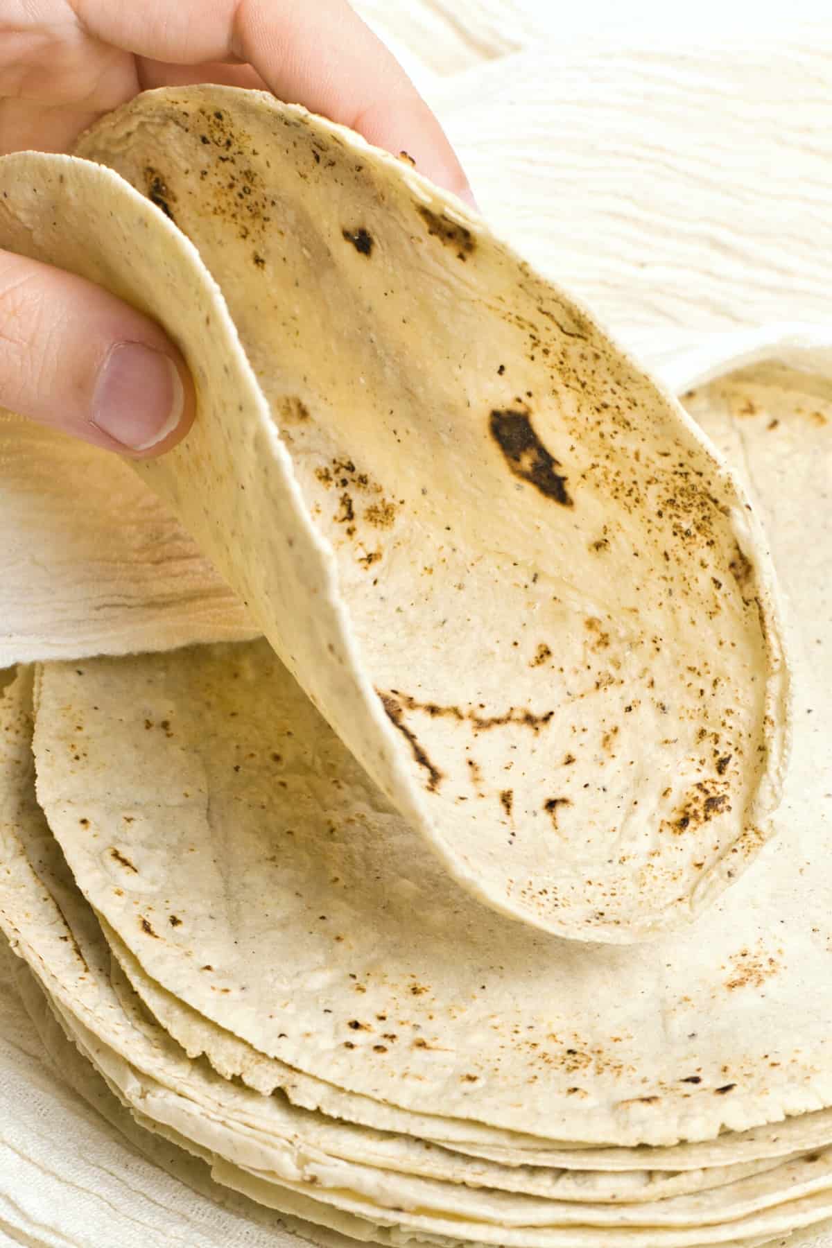 Hand holding up a folding a homemade corn tortilla.