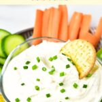 A cracker dipped in a bowl of cottage cheese ranch dip