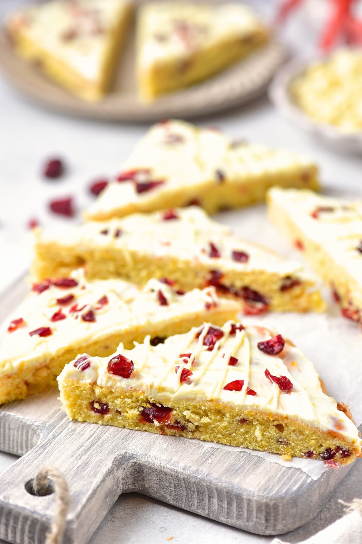 GF Cranberry Bars