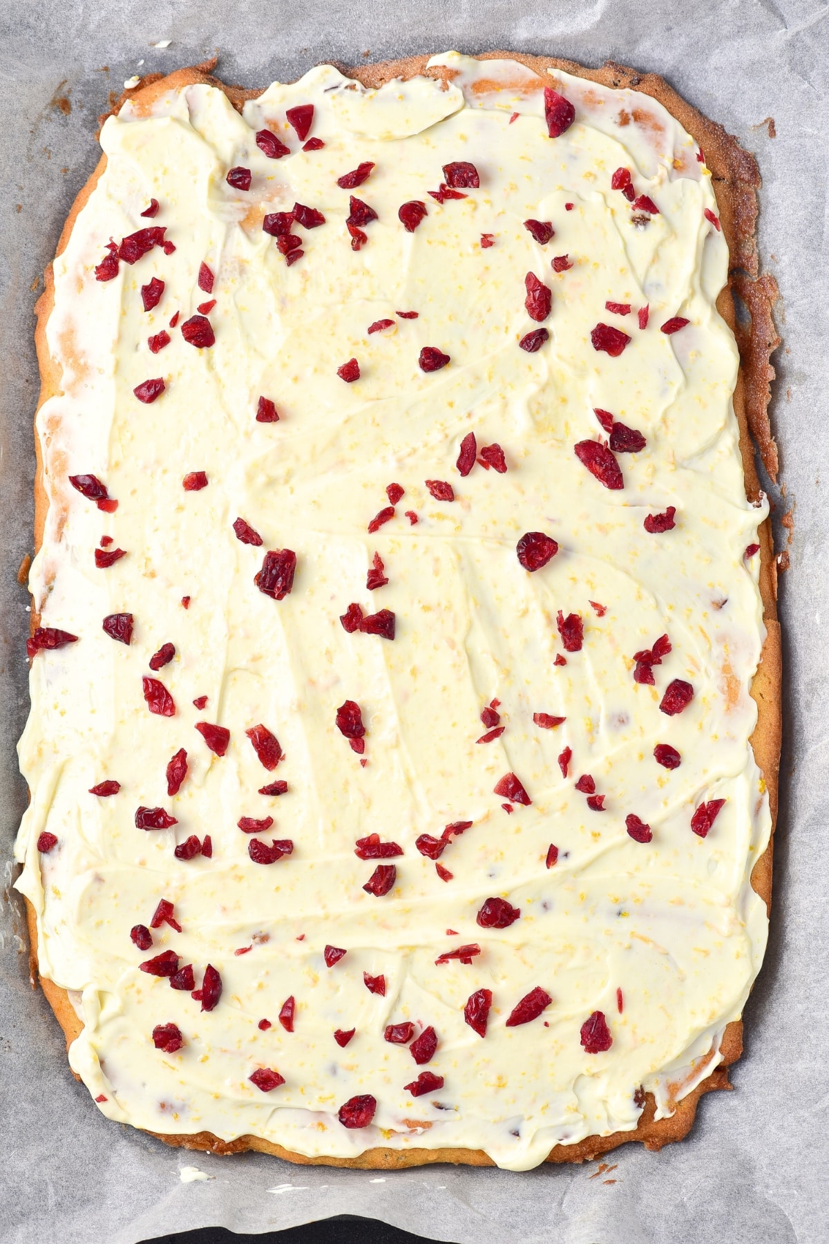 Frosting topped cake sprinkled with dried cranberries.
