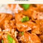 Up close view of chicken curry topped with fresh cilantro.