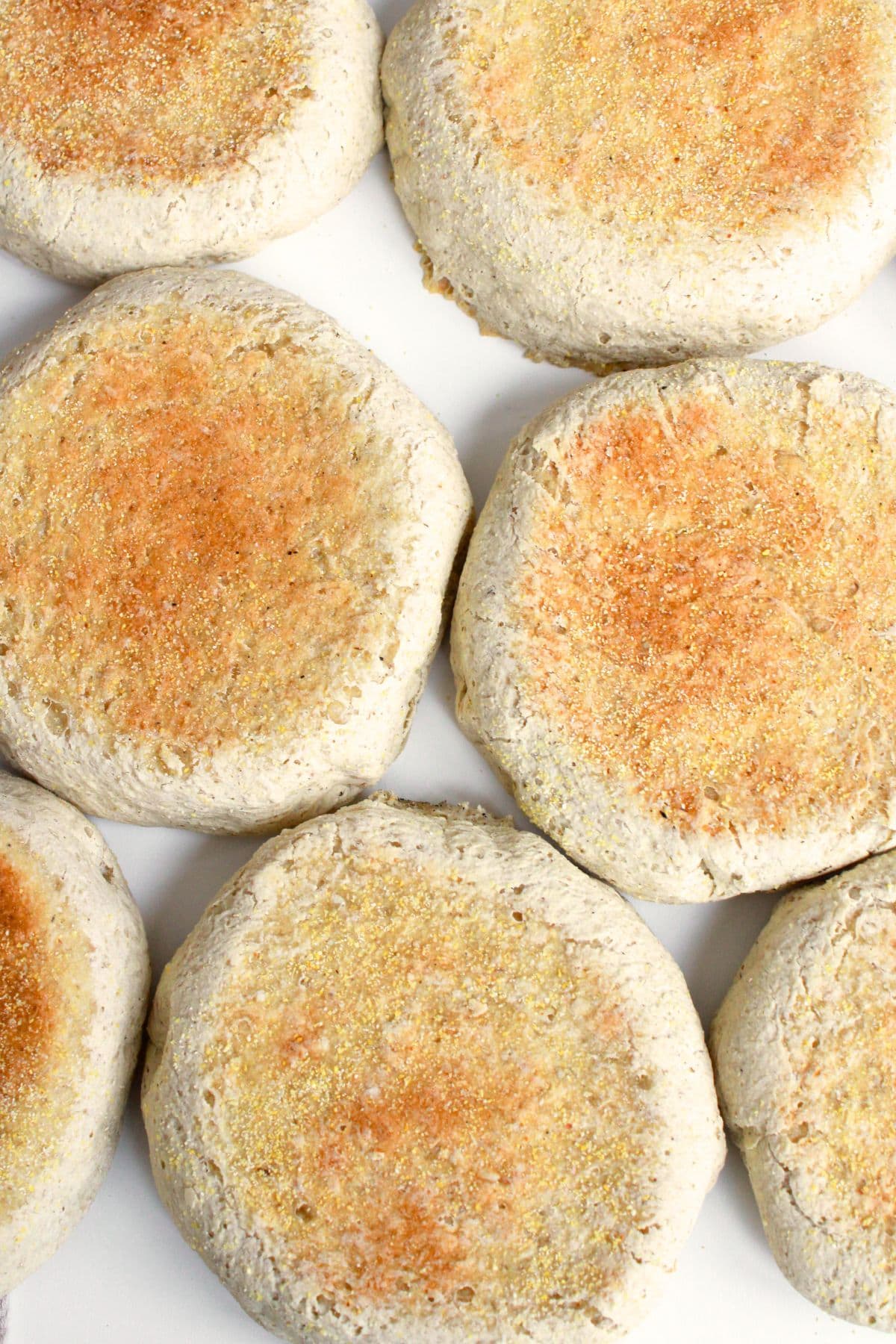 Homemade gluten-free English muffins on white plate.
