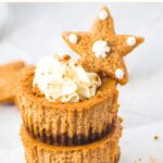 Up close shot of a stack of gingerbread mini cheesecakes