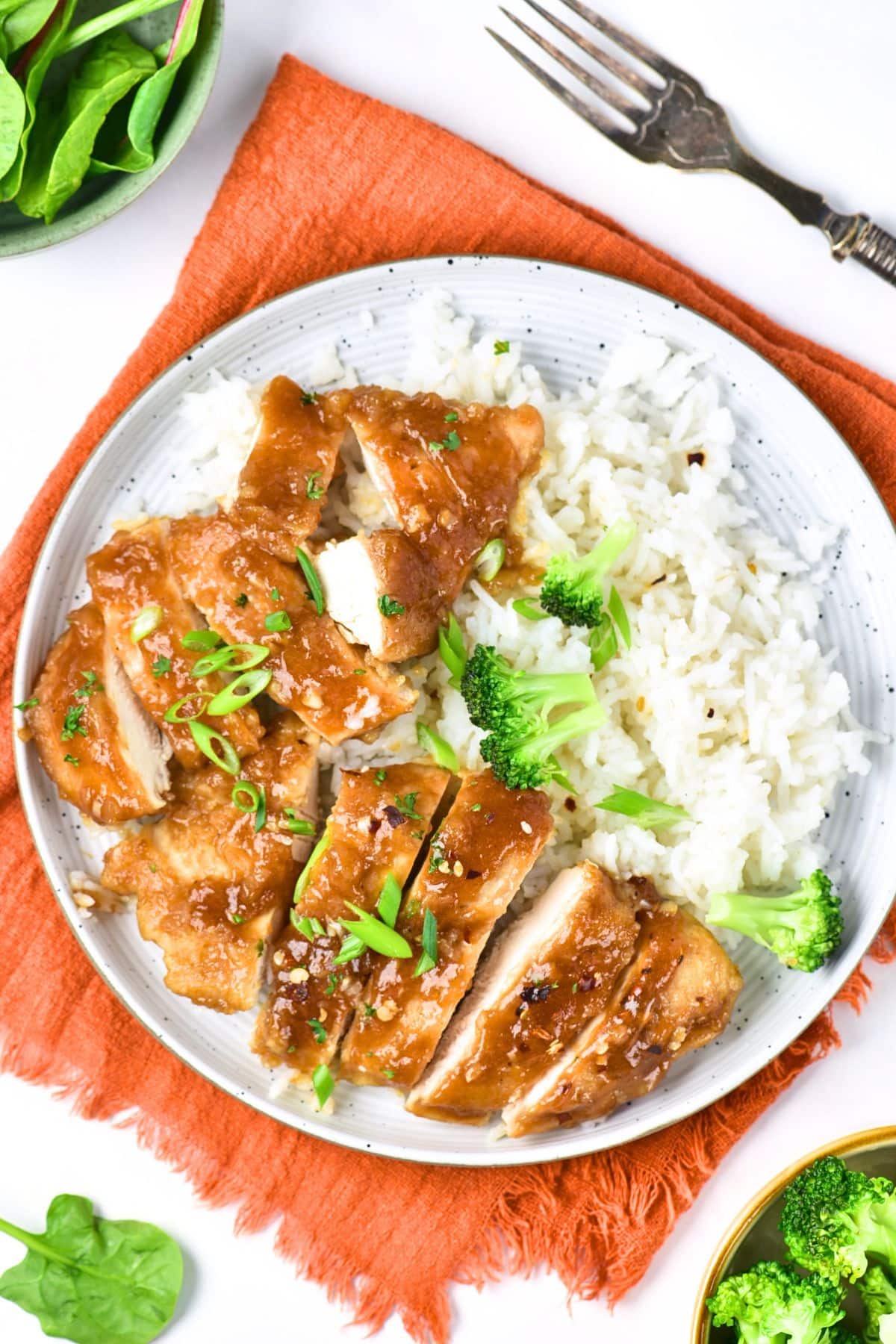 Top down view of a plate of sliced chicken and rice