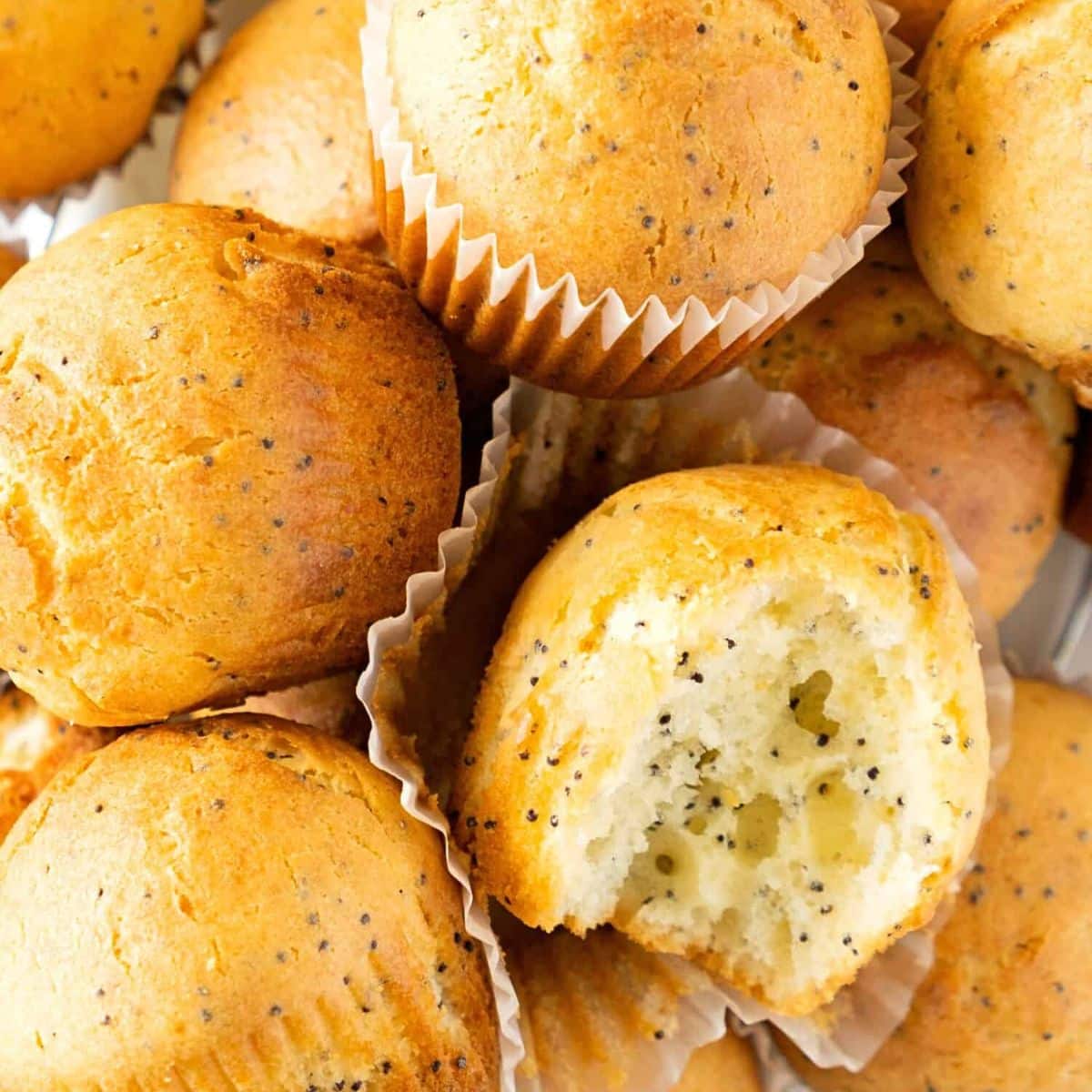 Lemon poppyseed muffins
