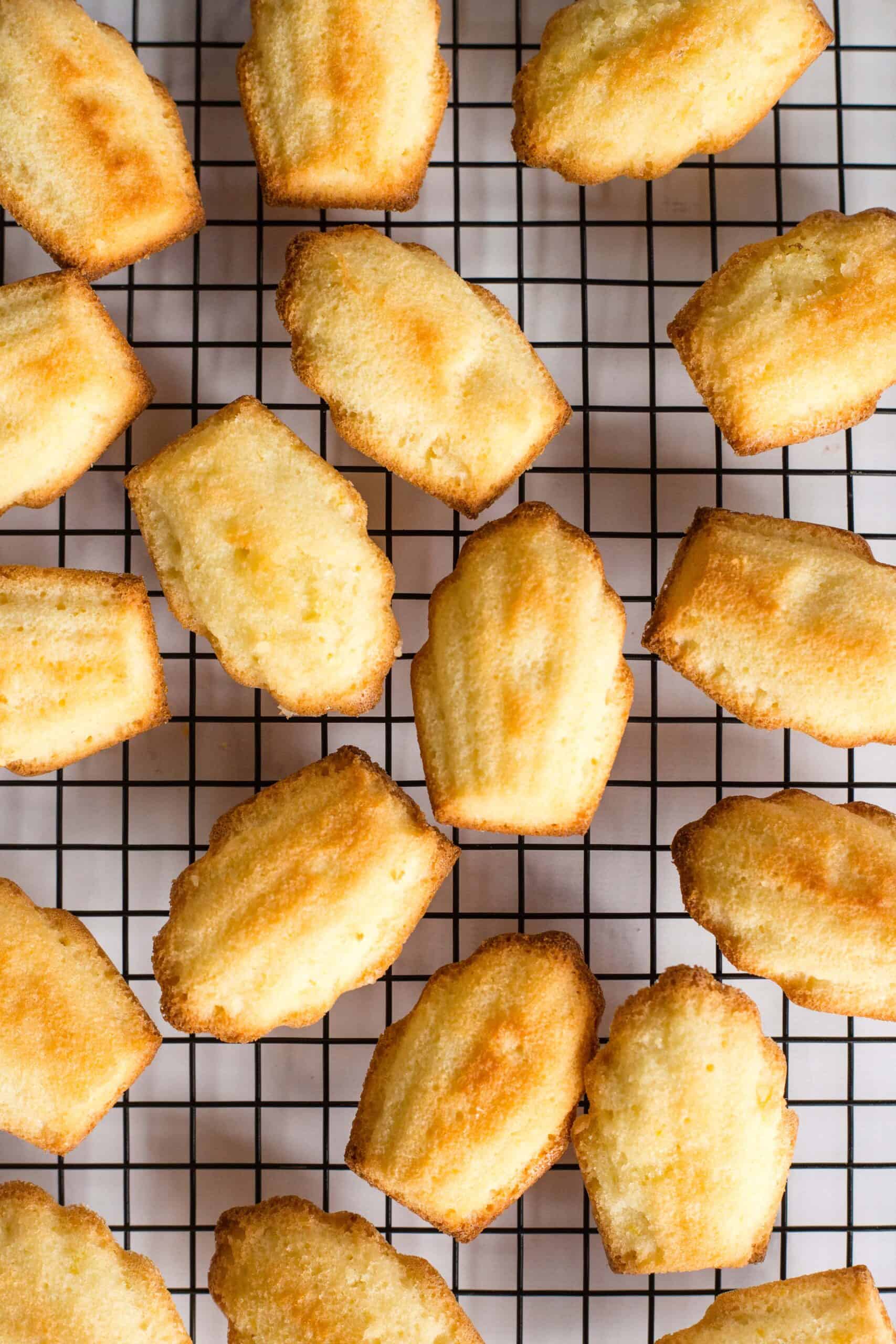 Dairy-free madeleines cooling on a wire rack.
