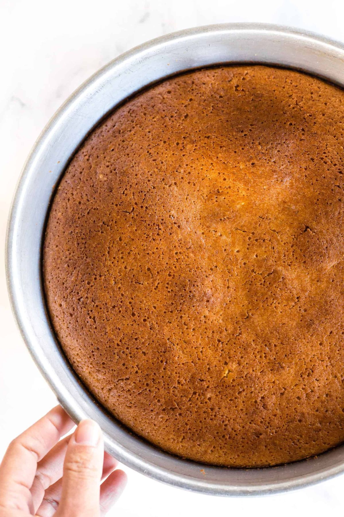 Lemon Olive Oil Cake (Dairy-Free, Gluten-Free) Holding a cake pan with freshly baked cake.