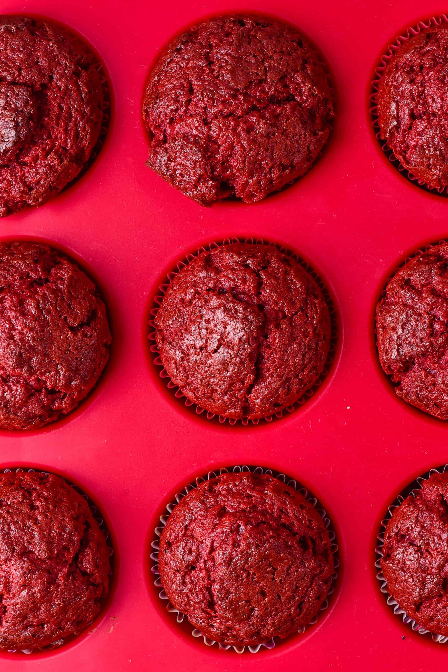 Freshly baked red velvet cupcakes still in muffin mold.