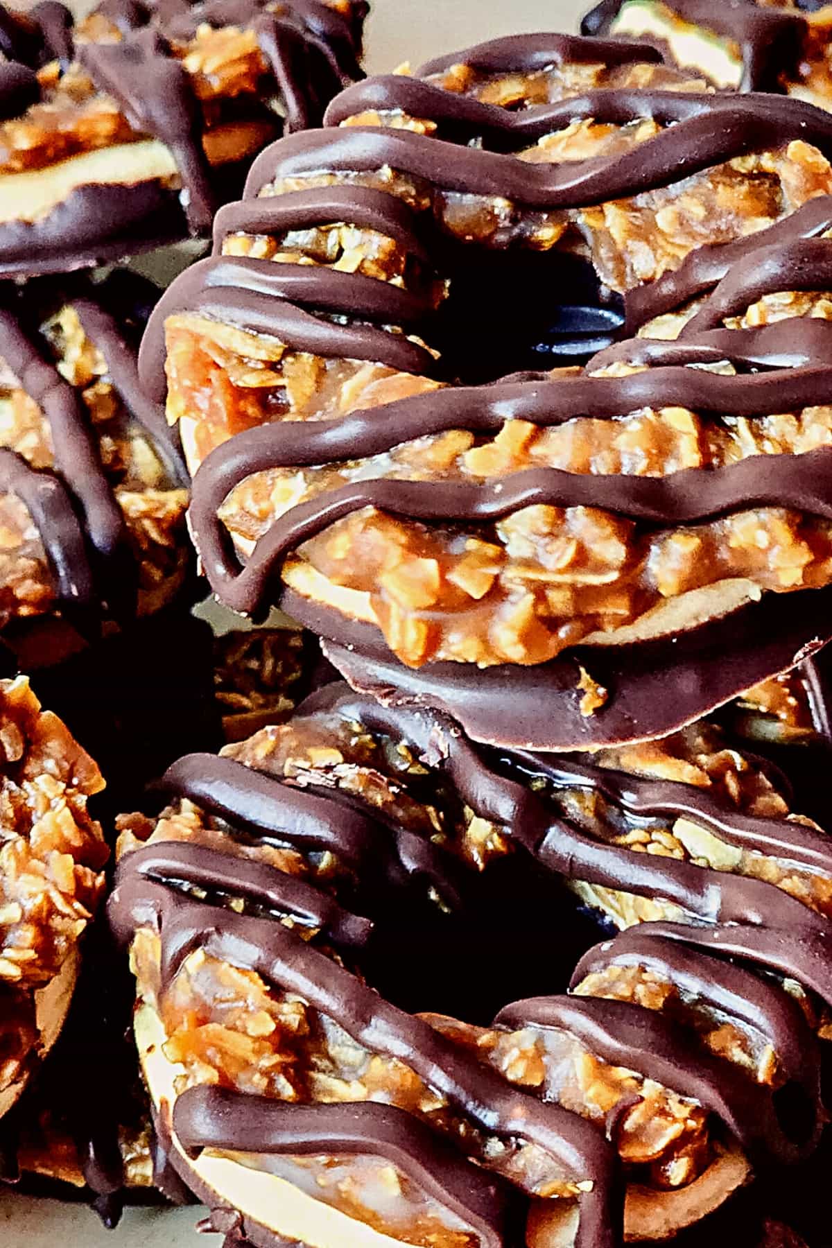 Up close shot showing texture of gluten-free samoas.