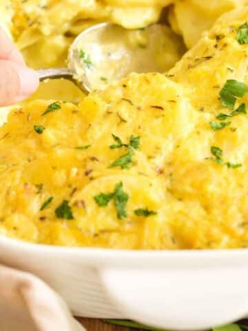 Scooping into scalloped potatoes.