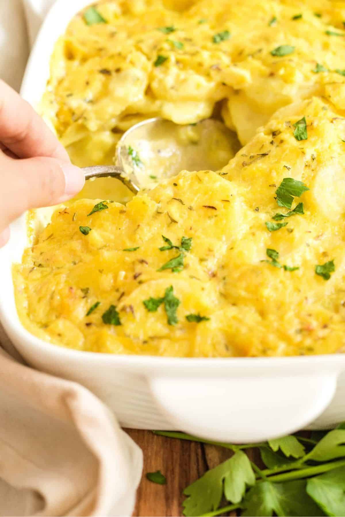 Scooping into freshly baked scalloped potatoes.