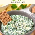A cracker in a bowl of spinach dip.