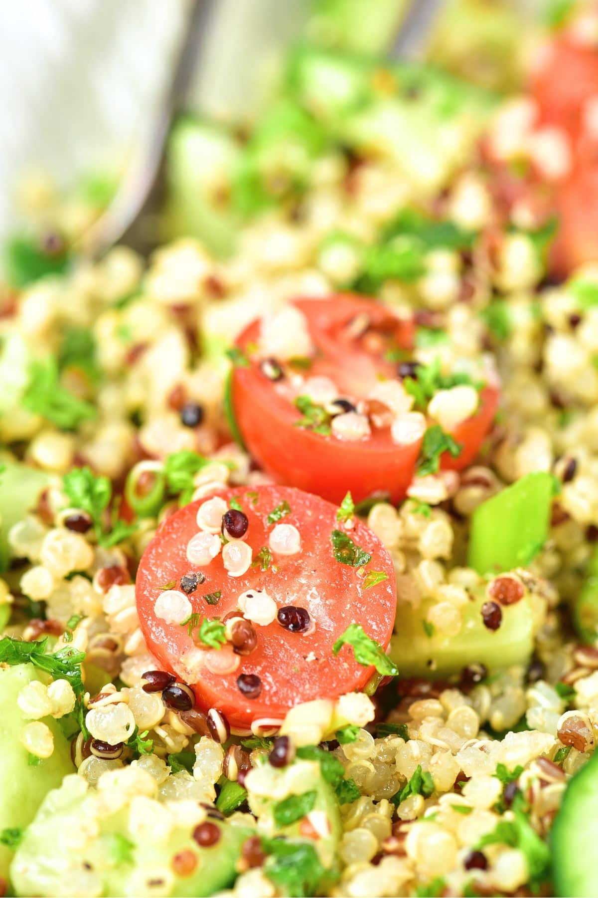 Vegan Tabbouleh Up close view of vegan tabbouleh (cooked quinoa, parsley and cherry tomatoes)