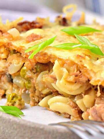 Up close shot of gluten-free dairy-free tuna casserole