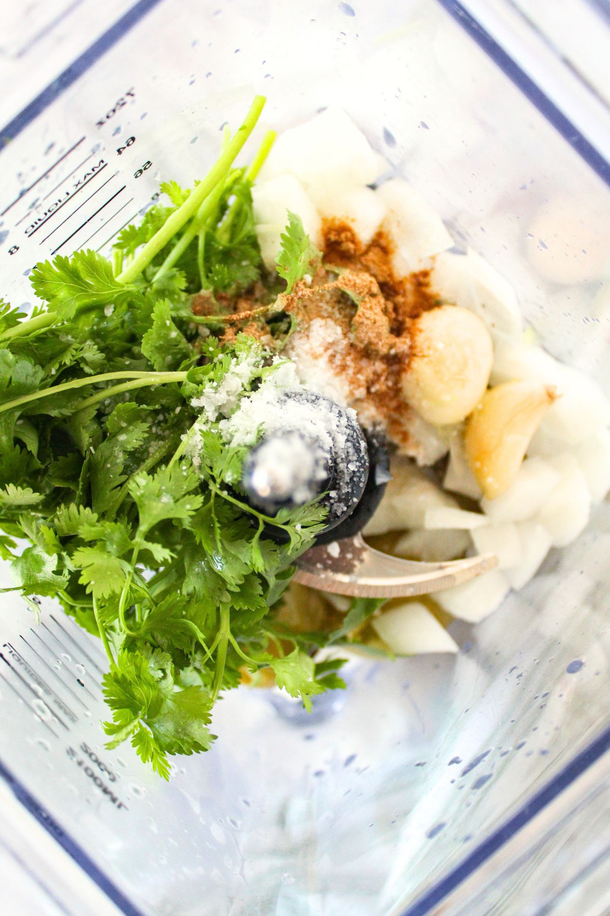 Fresh cilantro, garlic, onions and spices in blender