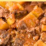 Up close view of deer meat stew