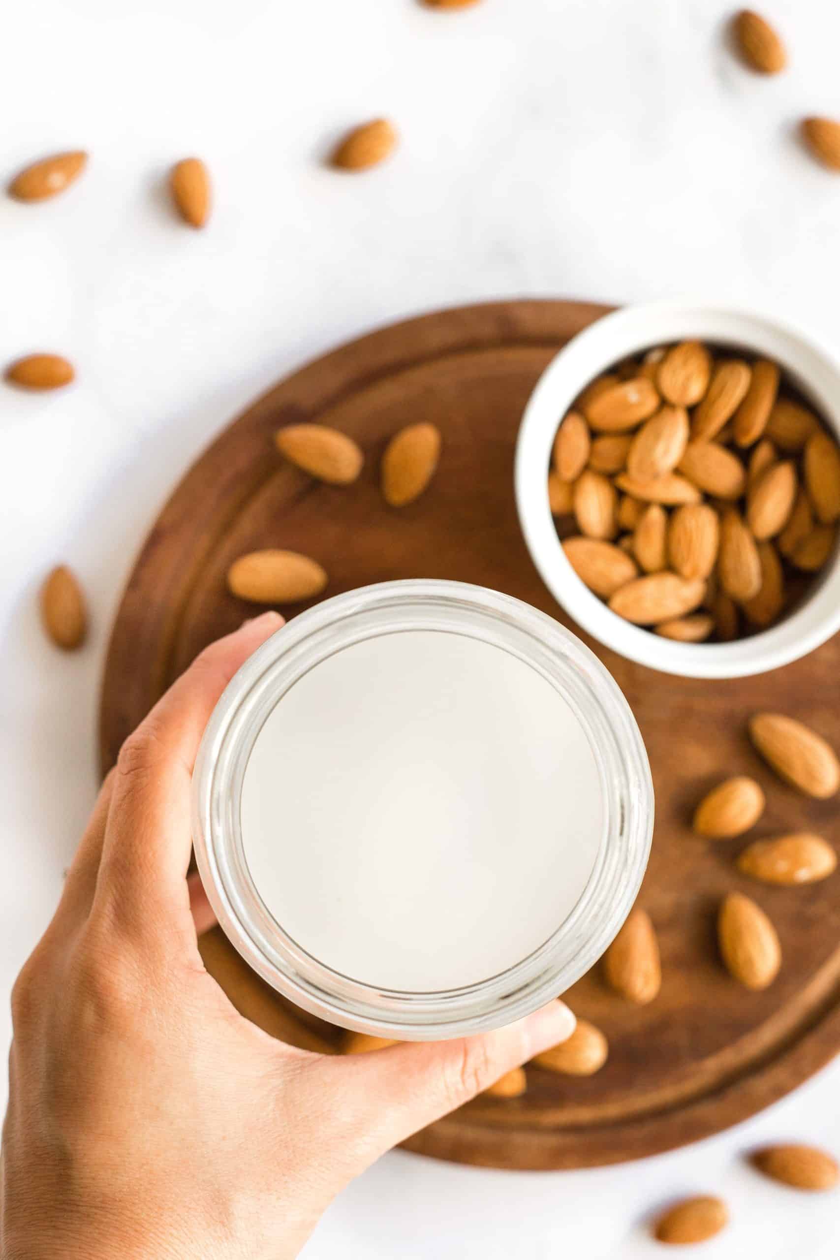 How to Make Almond Milk (DairyFree, Vegan) Dish by Dish