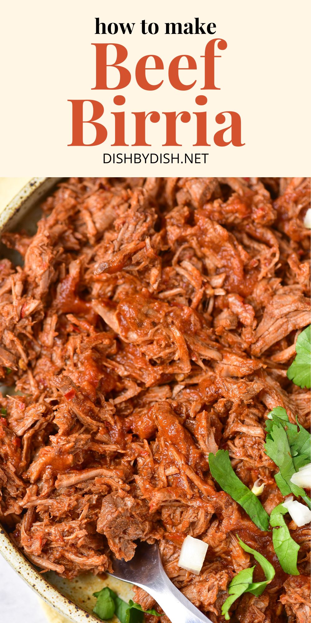 Simple Barria Mexican Shredded Beef Recipe (Beef Birria) - Dish by Dish