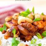 Up close view of a bowl of cashew chicken.
