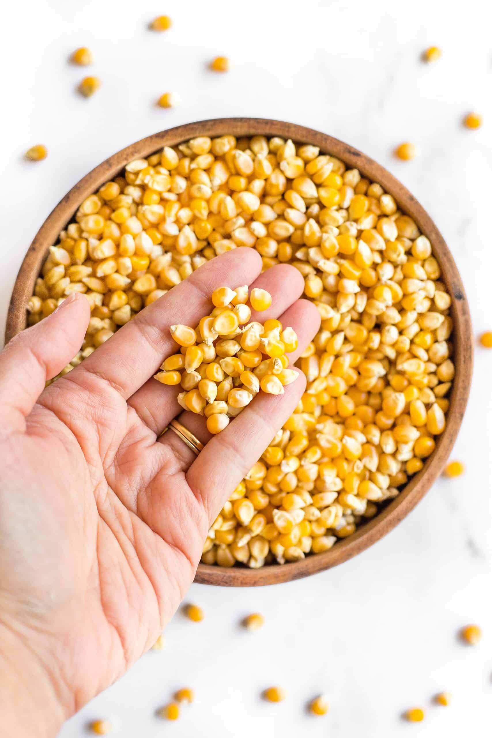 Hand holding up corn kernels from a bowl.