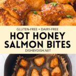 Collage of images of air fryer salmon bites