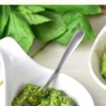 A spoon in a bowl of Italian green sauce.