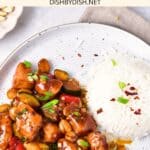 Top down view of a plate of kung pao chicken and rice.