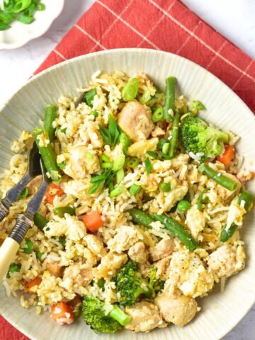 Top down view of a bowl of turkey fried rice