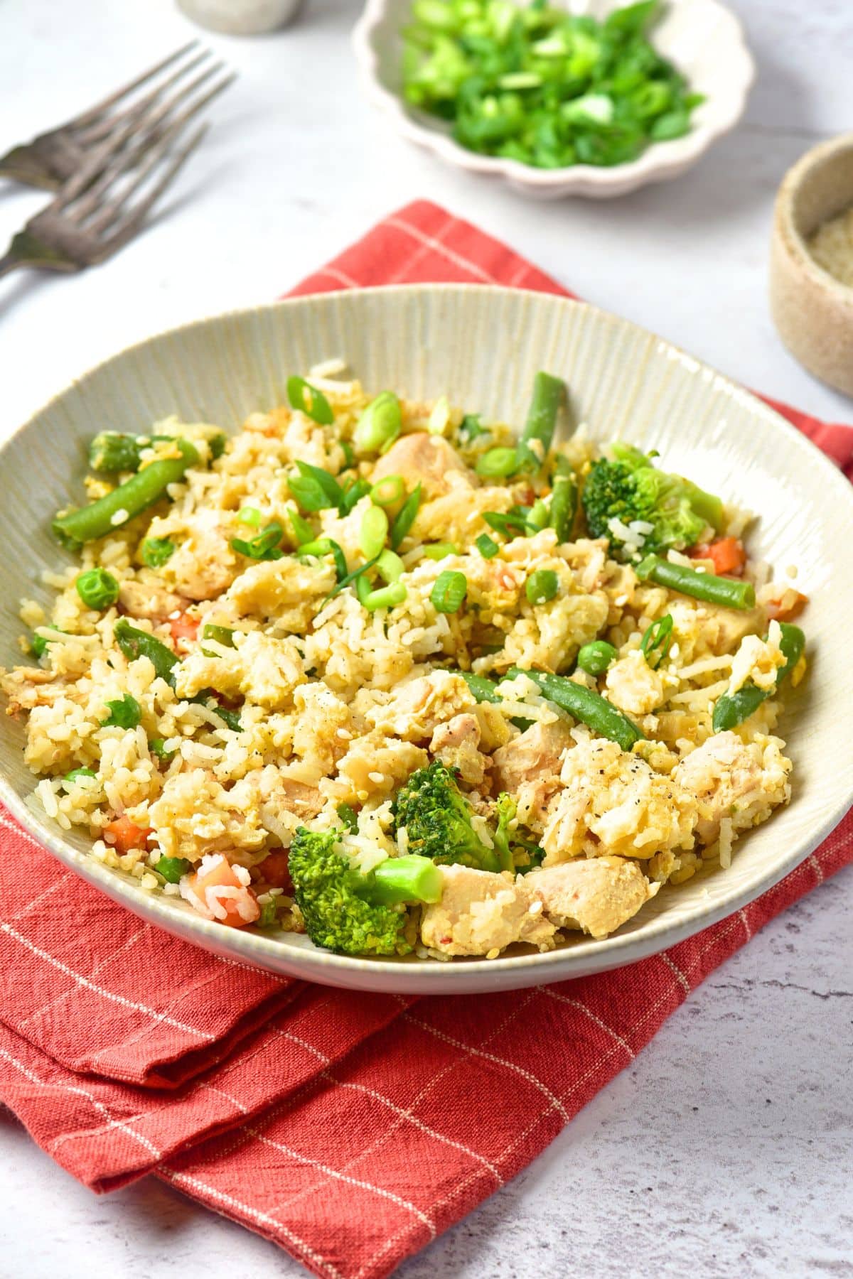 A bowl of turkey fried rice sprinkled with green onions