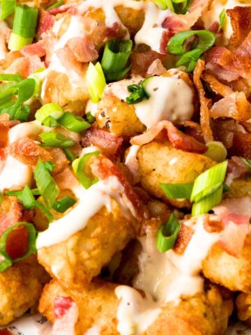 Up close view of loaded tater tots