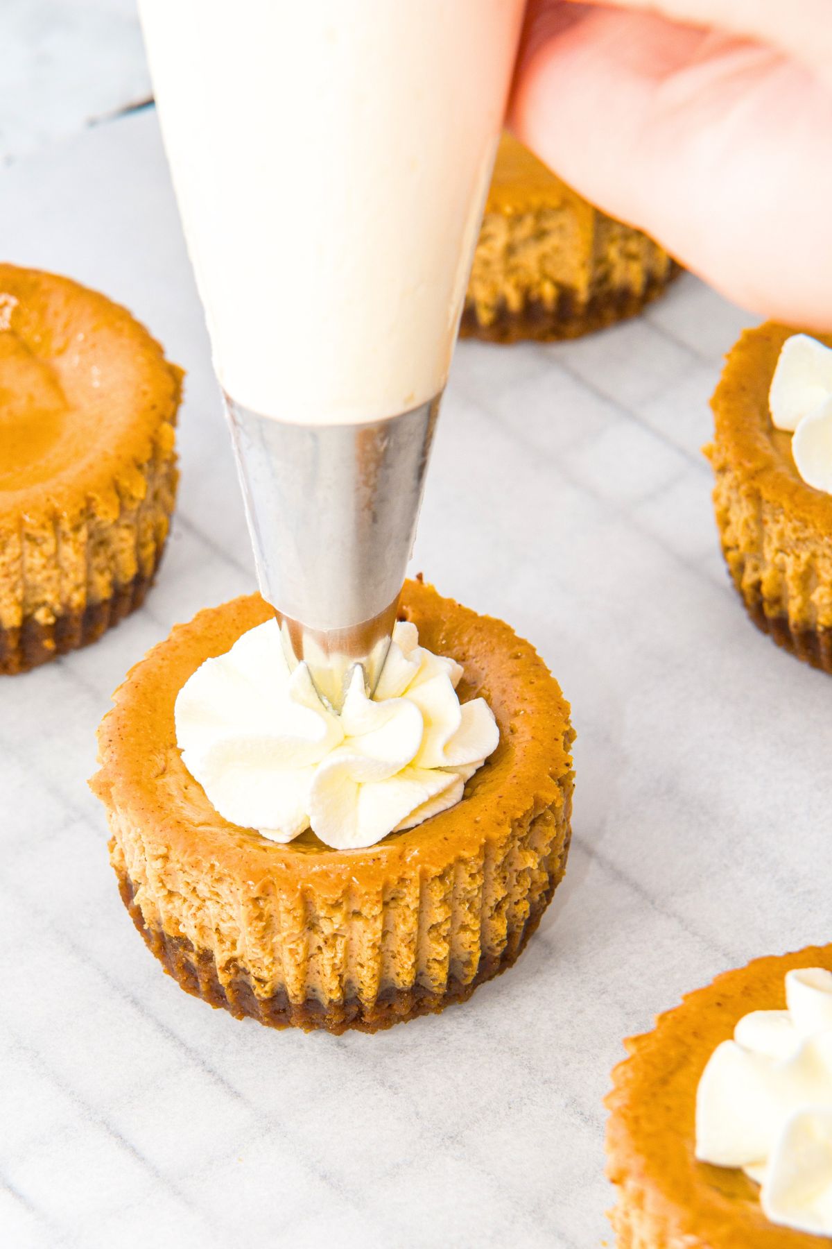 Piping whipped cream on top of mini gingerbread cheesecakes
