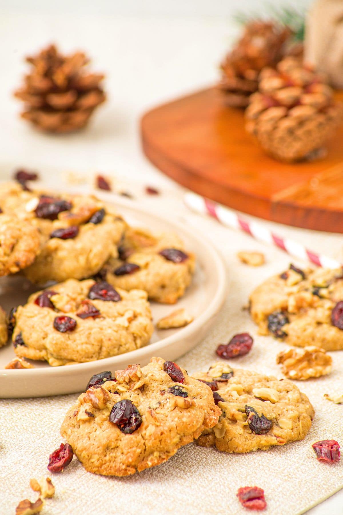 Oatmeal Cranberry Cookies (Gluten-Free, Dairy-Free) Up close view of chewy oatmeal cranberry cookies.
