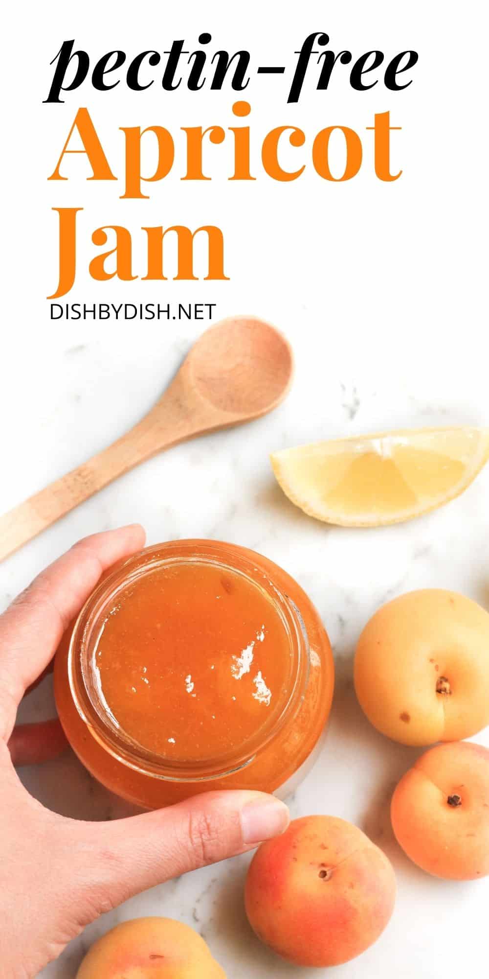 Easy Apricot Jam Recipe (Glutenfree, Vegan, PectinFree) Dish by Dish
