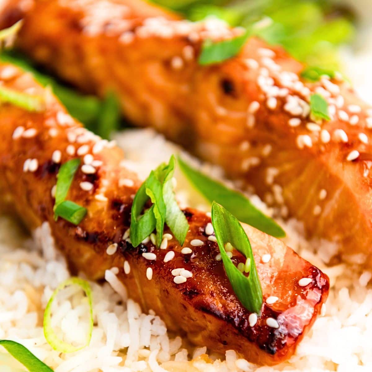 Teriyaki salmon fillets on rice