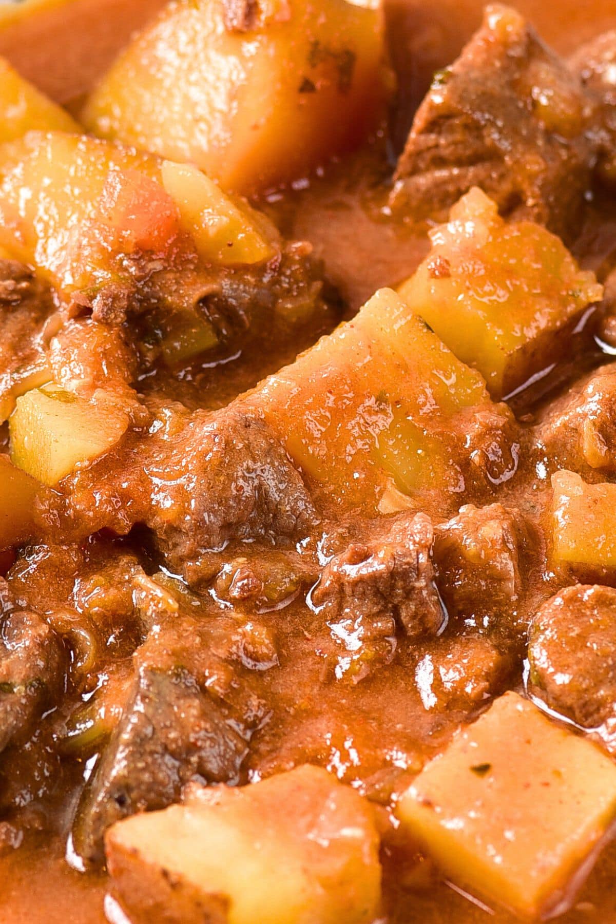 Up close view of venison stew