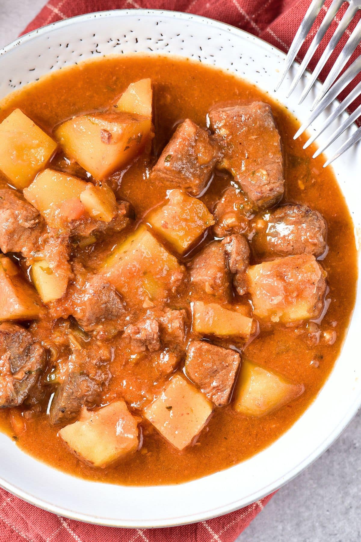 Top down view of a bowl of easy venison stew on red kitchen towel.