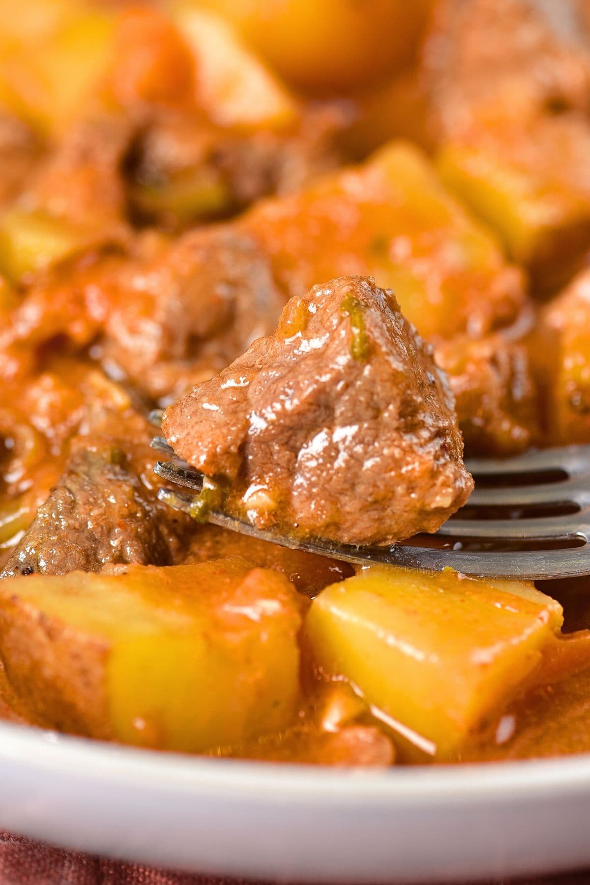 Up close view of deer meat stew