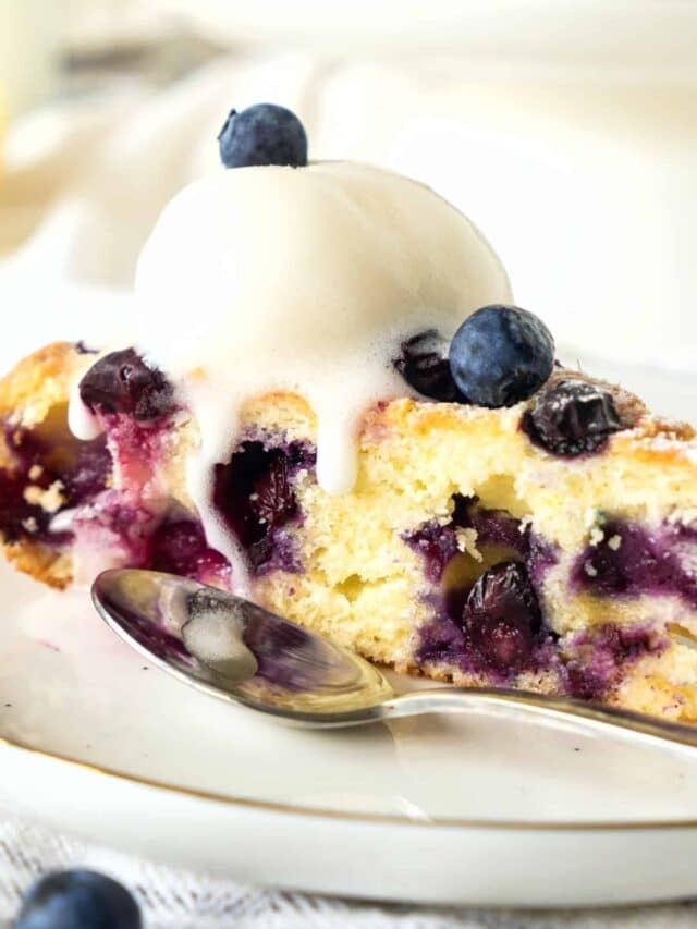 cropped-Gluten-Free-Lemon-Blueberry-Cake-Dairy-Free_Final5.jpg
